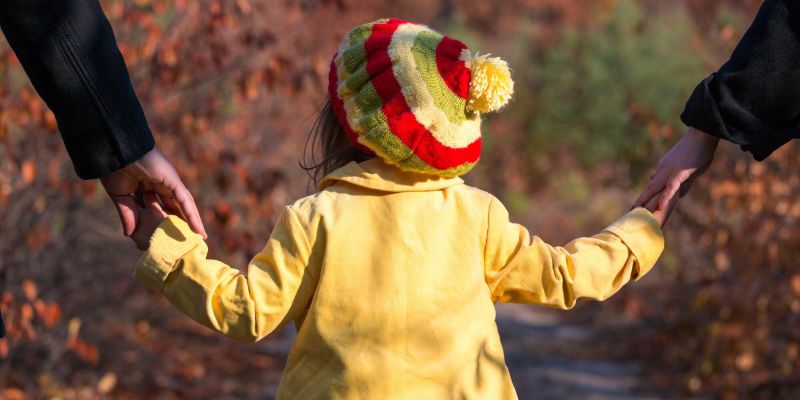 family lawyer Kenilworth, IL