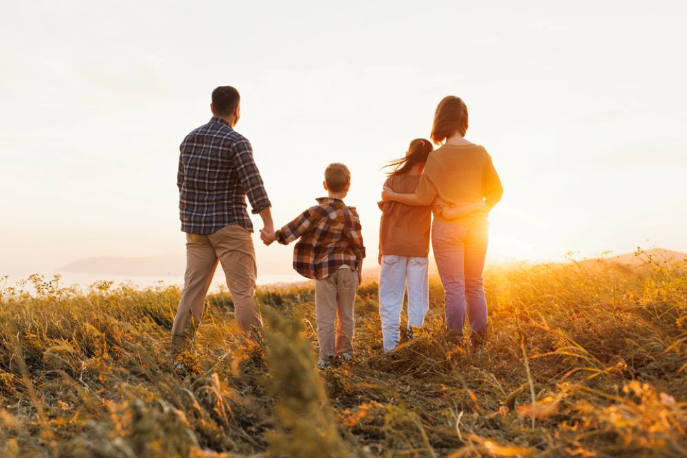 family lawyer Rochester Hills, MI