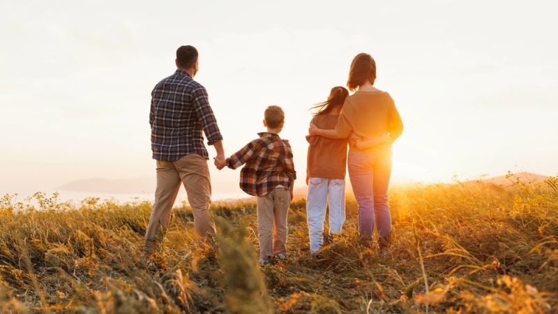family lawyer Rochester Hills, MI