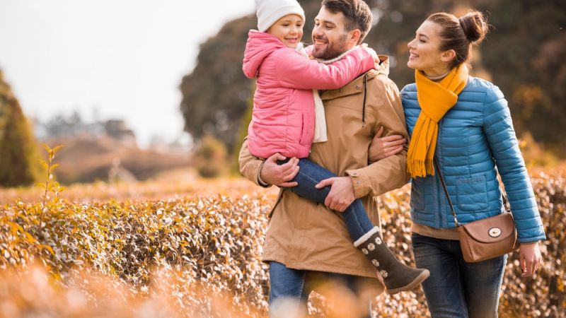 family lawyer Rochester Hills, MI