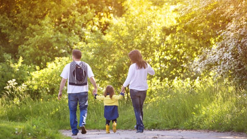 family lawyer Kenilworth, IL