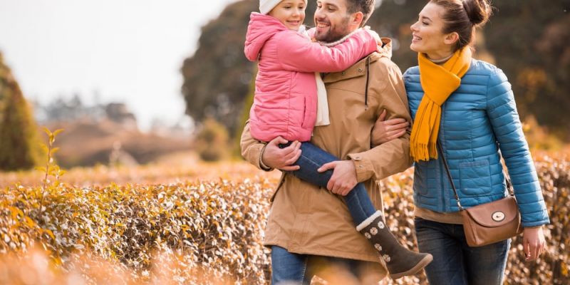 family lawyer Rochester Hills, MI