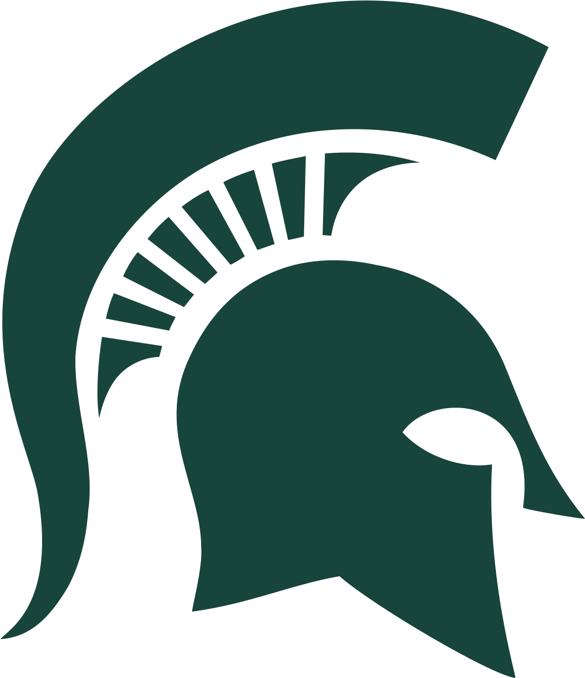 Bachelors Michigan State University