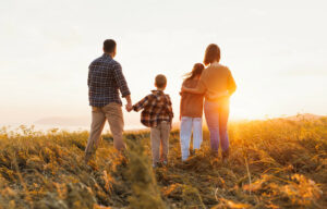 family lawyer Rochester in Hills, MI