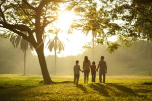 Types of Family Law Cases We Handle in Rochester Hills